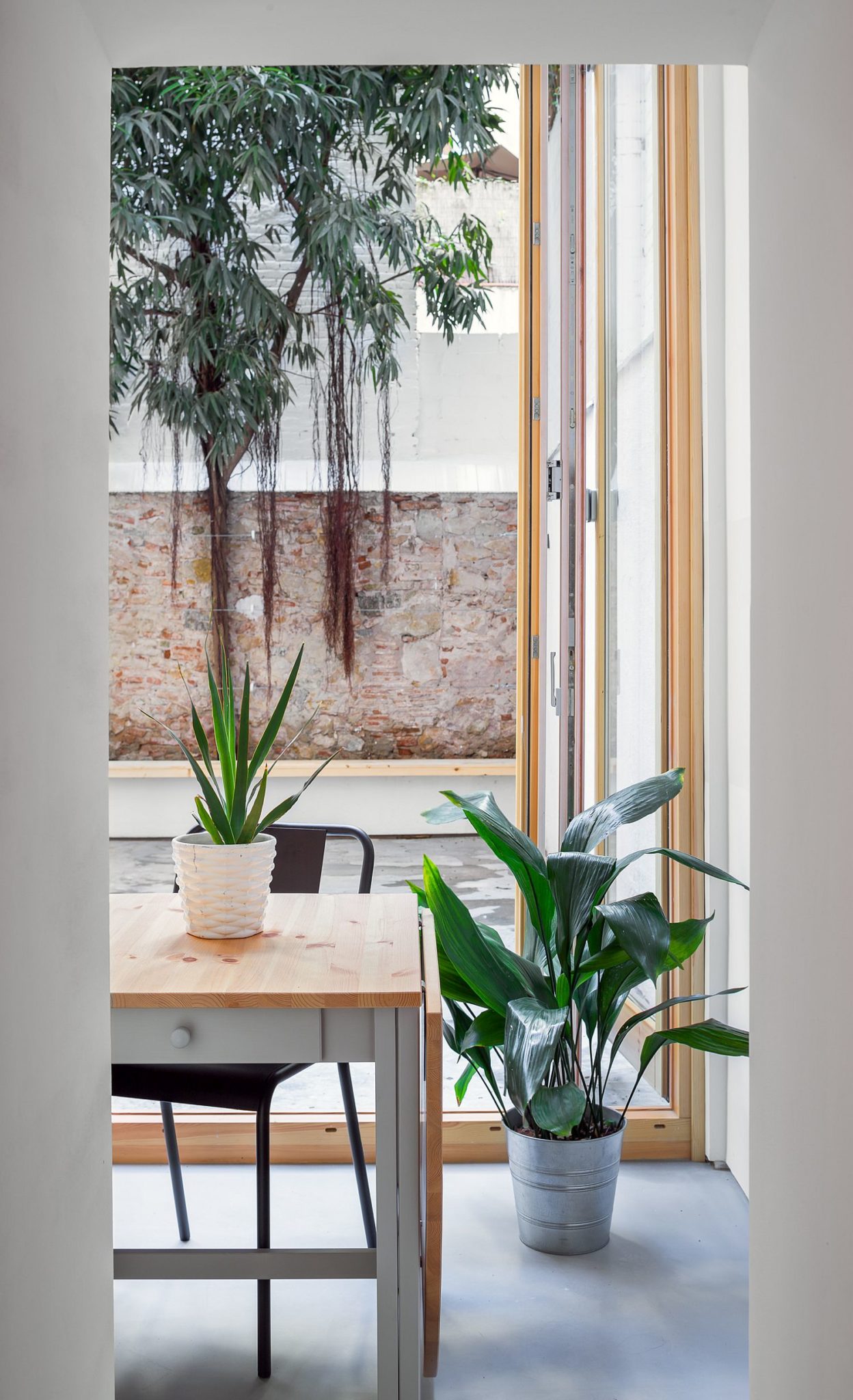 Greenery becomes an integral part of the neutral interior