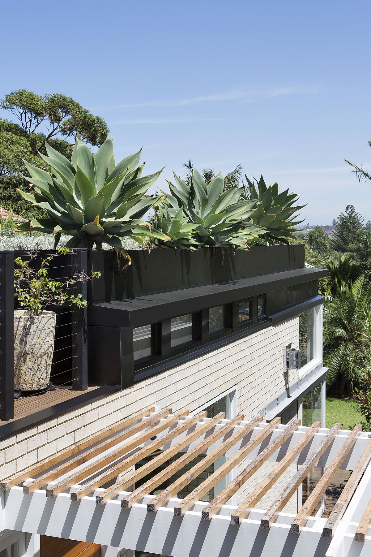 Look-at-the-unique-green-roof-of-the-Sydney-home