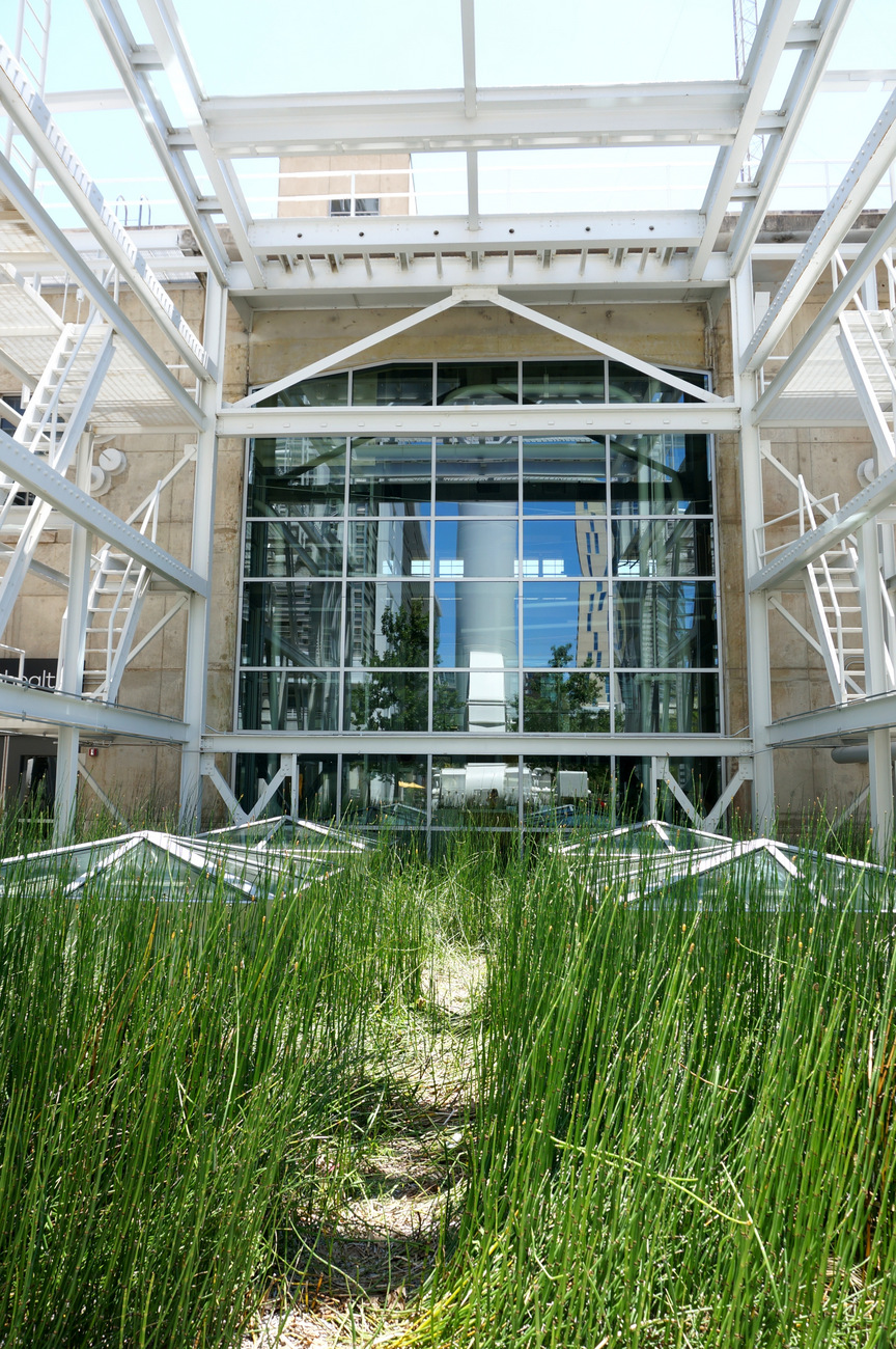 Modern-architecture-and-native-plants