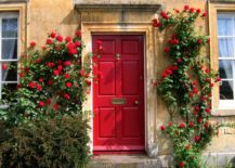 Red-door-surrounded-by-blooming-red-roses--217x155