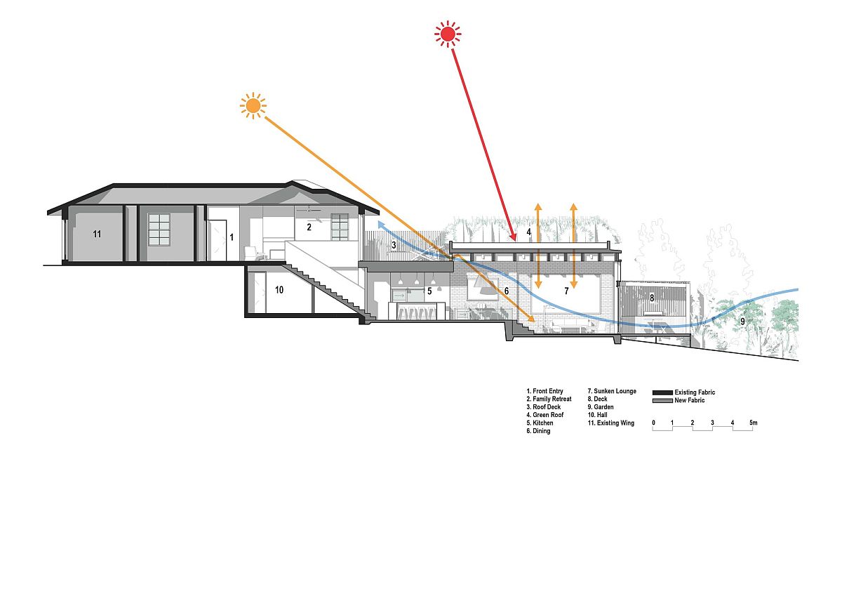 Sectional view of the rejuvinated coastal home in Sydney with green roof