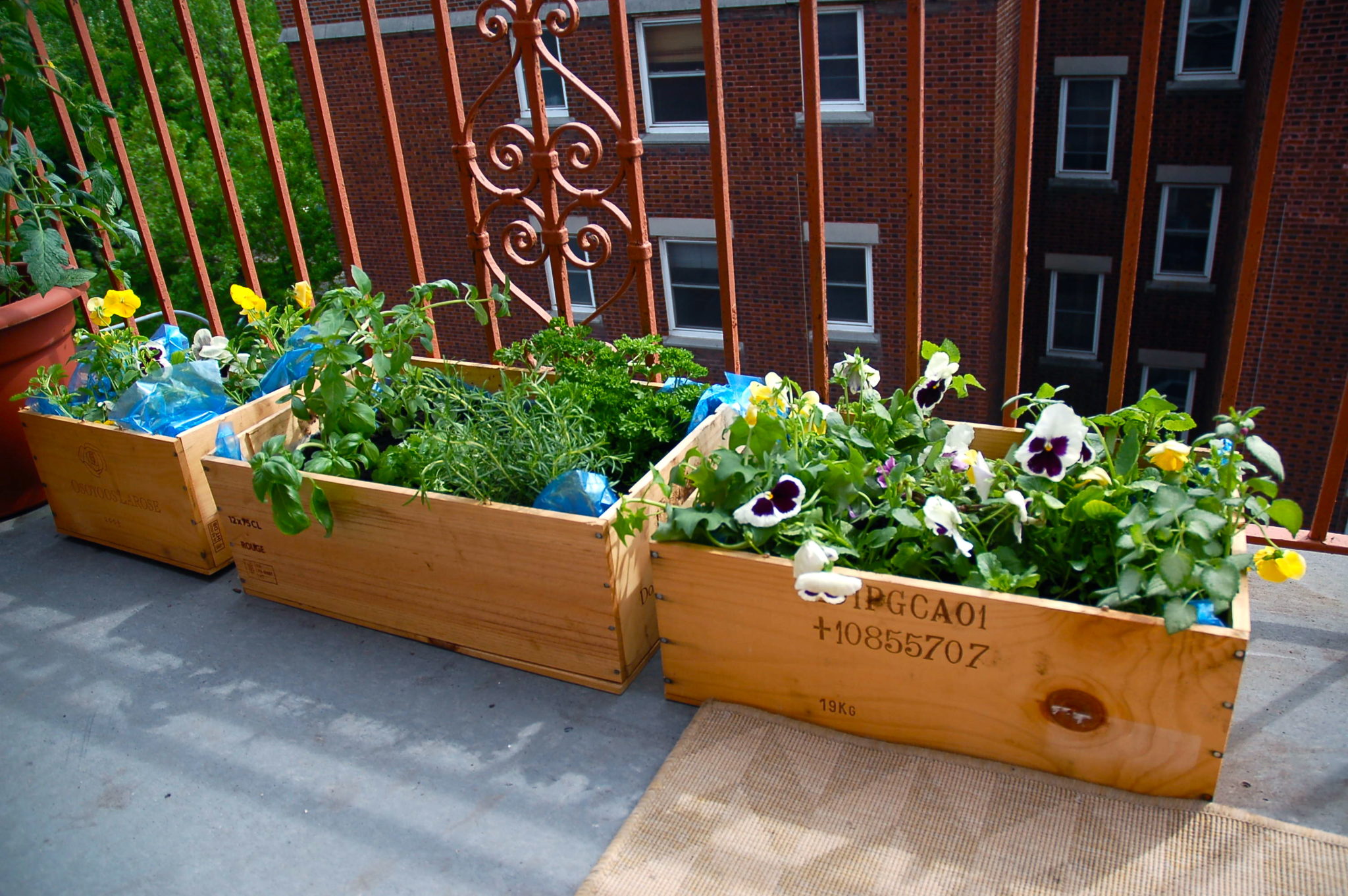 A blooming green balcony garden created with wooden planter box