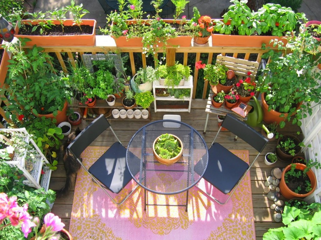 A blooming green garden perfect for an urban apartment