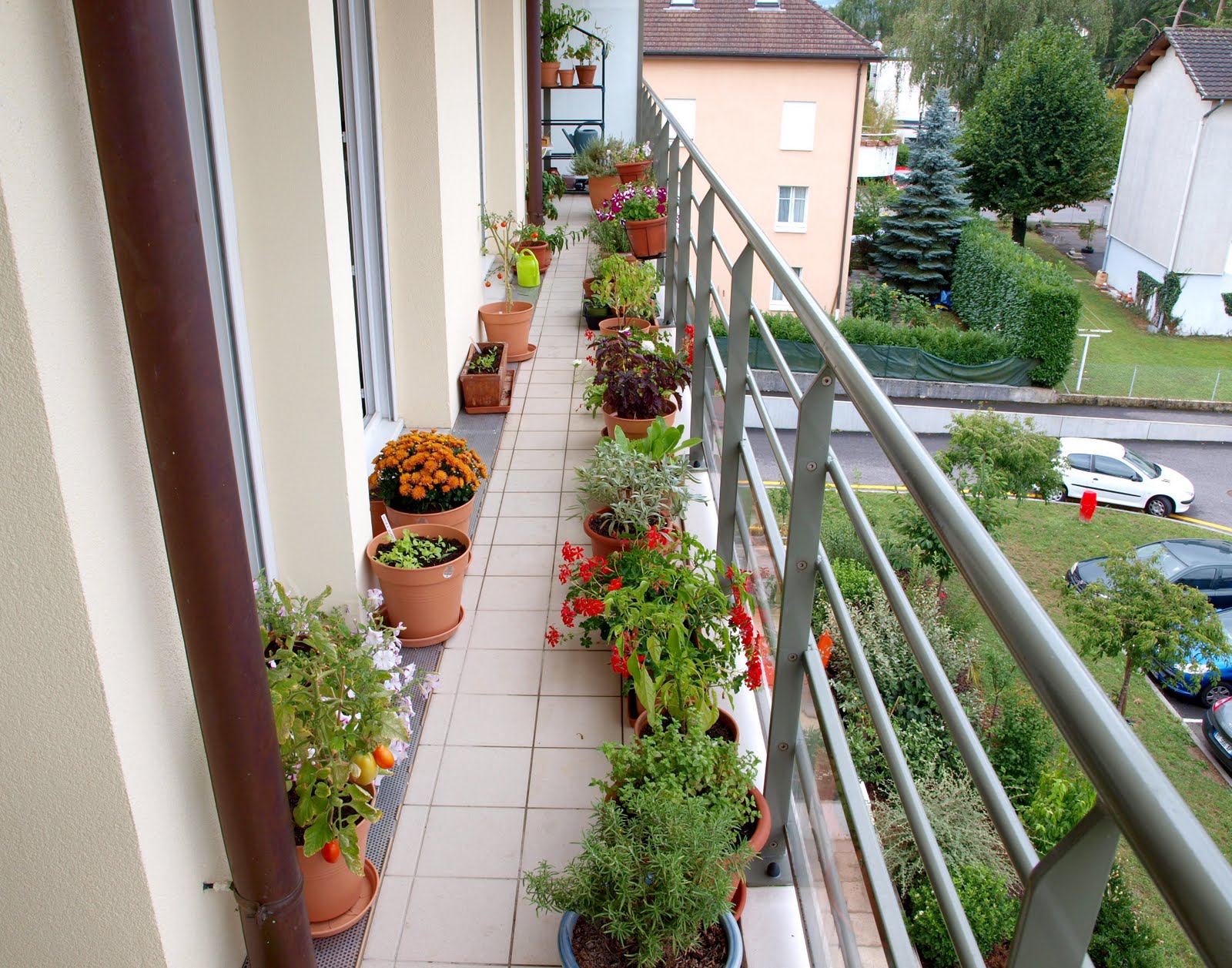 A Long And Narrow Balcony Garden  