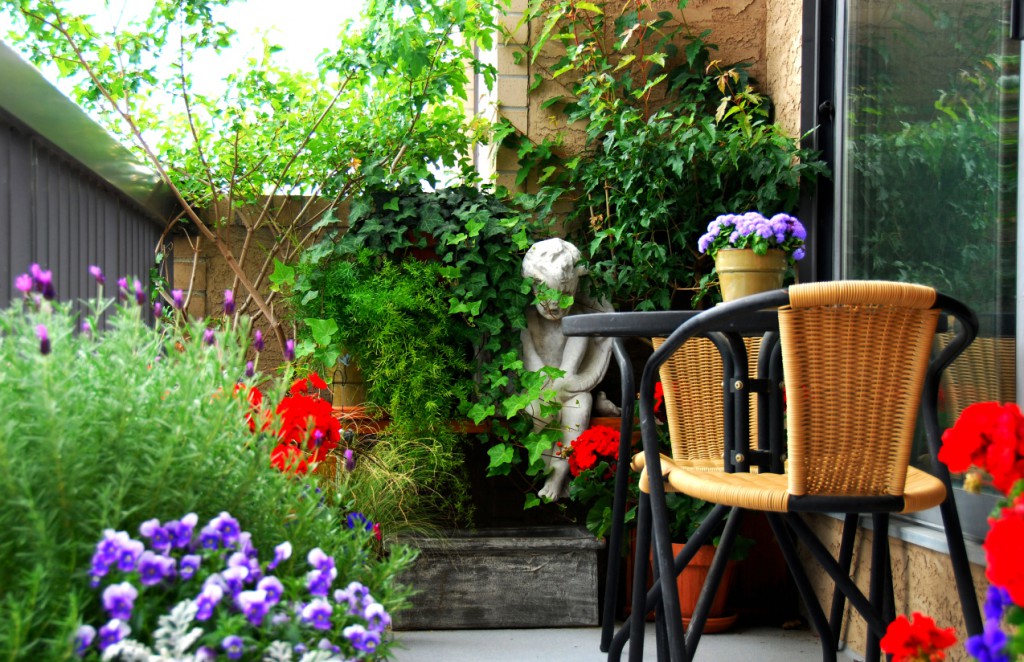 A-tiny-balcony-garden-as-a-serene-and-natural-space