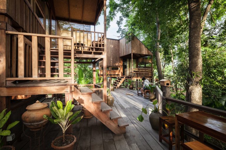 Backyard Jungle Stunning EcoFriendly Homes Engulfed in Forest Canopy