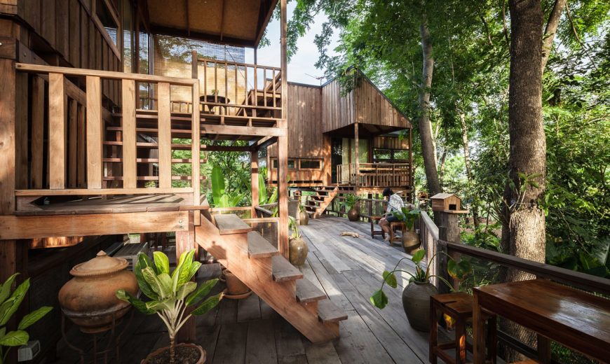 Backyard Jungle: Stunning Eco-Friendly Homes Engulfed in Forest Canopy!