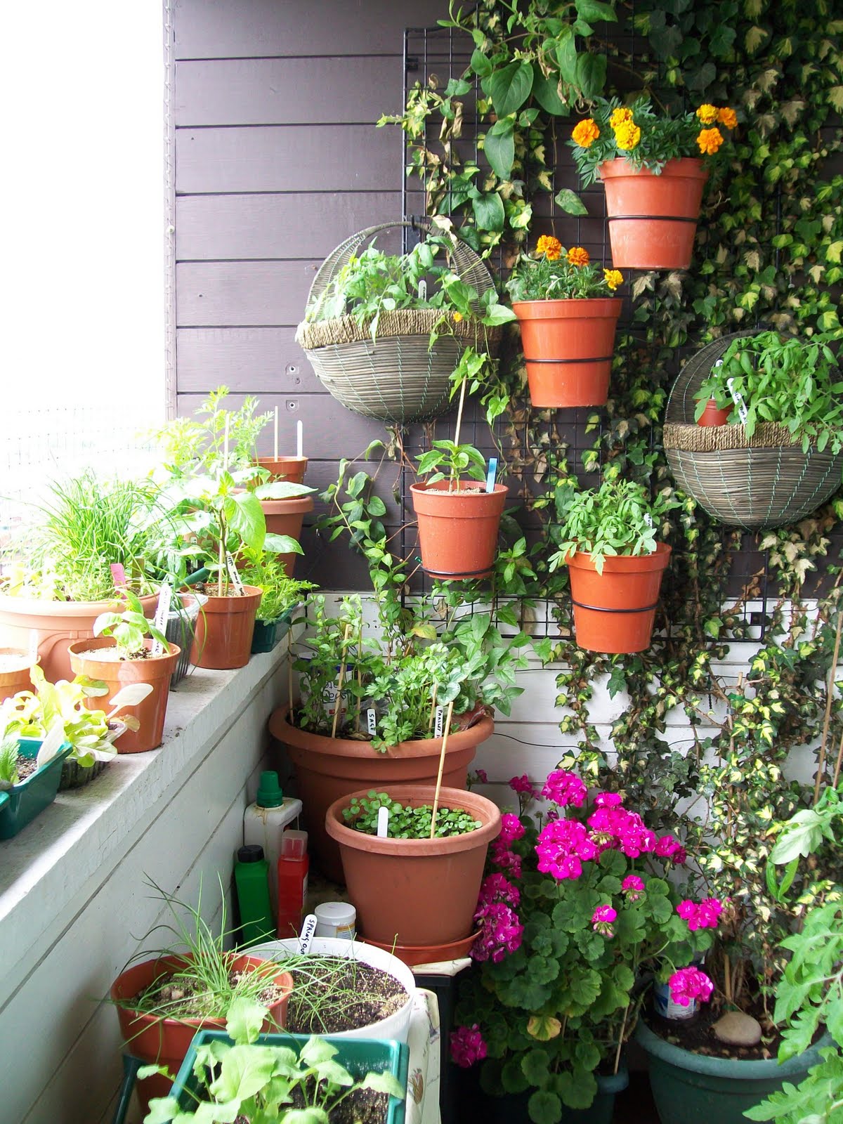 Apartment Patio Garden