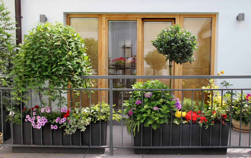 Balcony-garden-that-radiates-elegance-and-symmetry