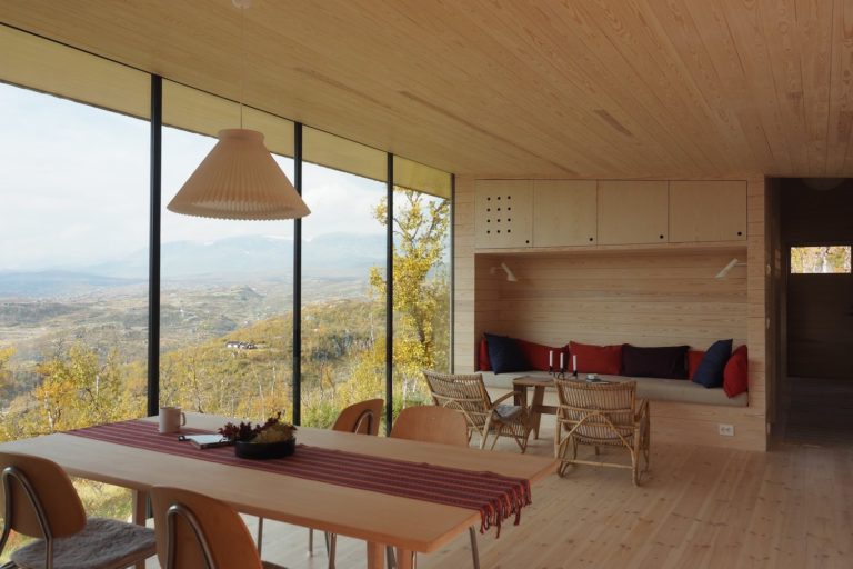 5 Perfect Examples of Smart, Modern Pinewood Interiors | Decoist