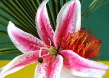 Create-a-tropical-bouquet-with-greenery-and-flowers-217x155