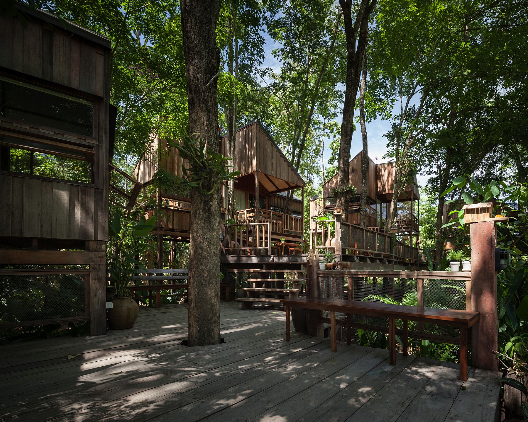 Thai Home is a Relaxing Abode Covered by Forest Canopy