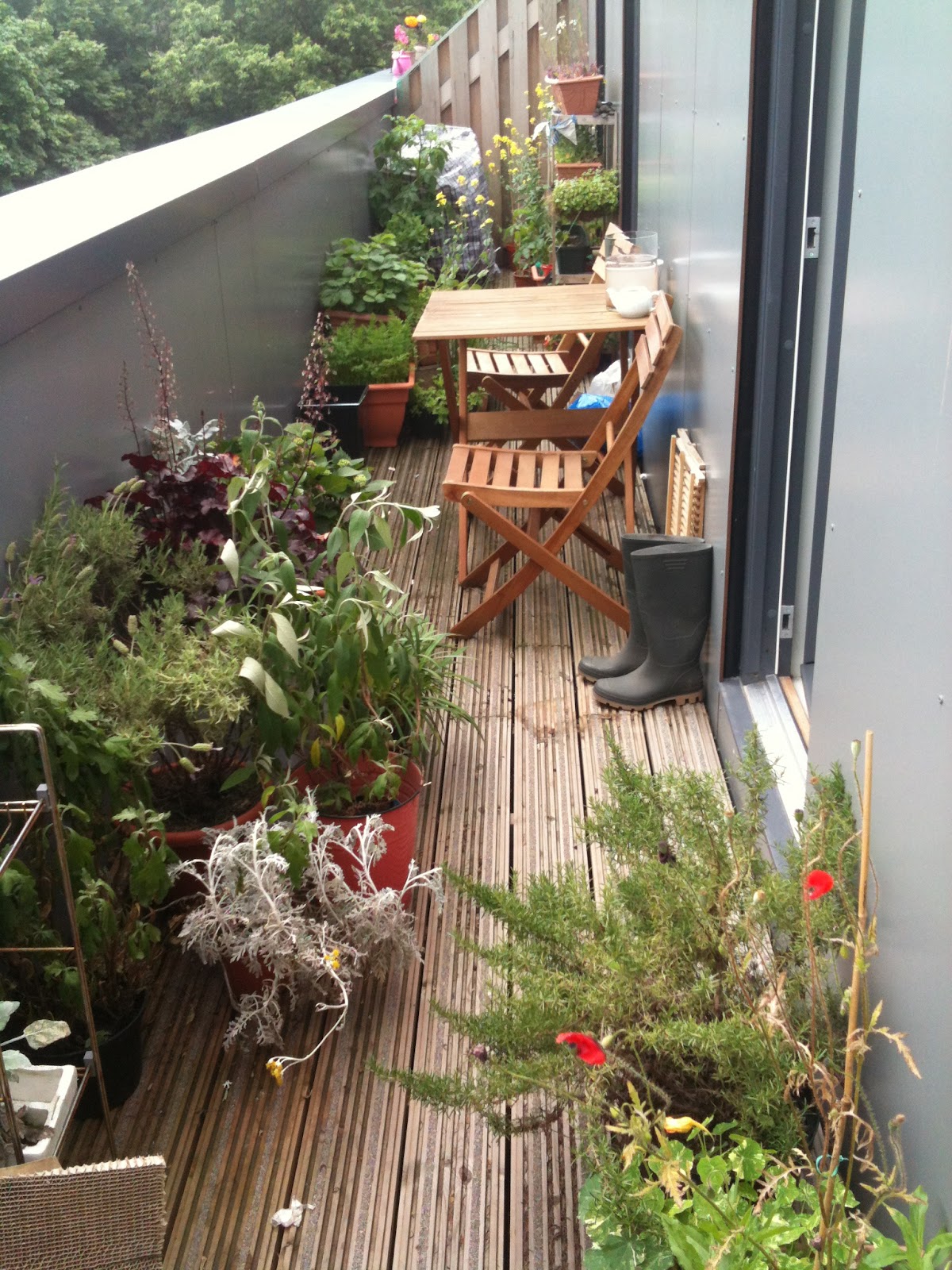 Narrow balcony garden channeling the backyard view