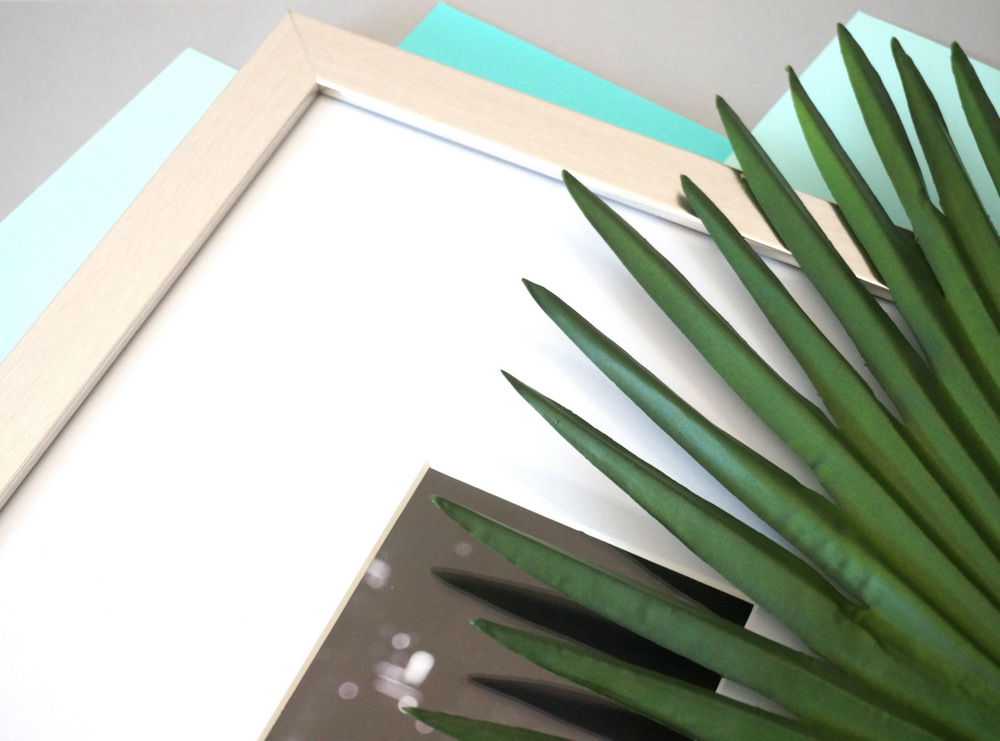 Photo-frame-and-palm-leaf