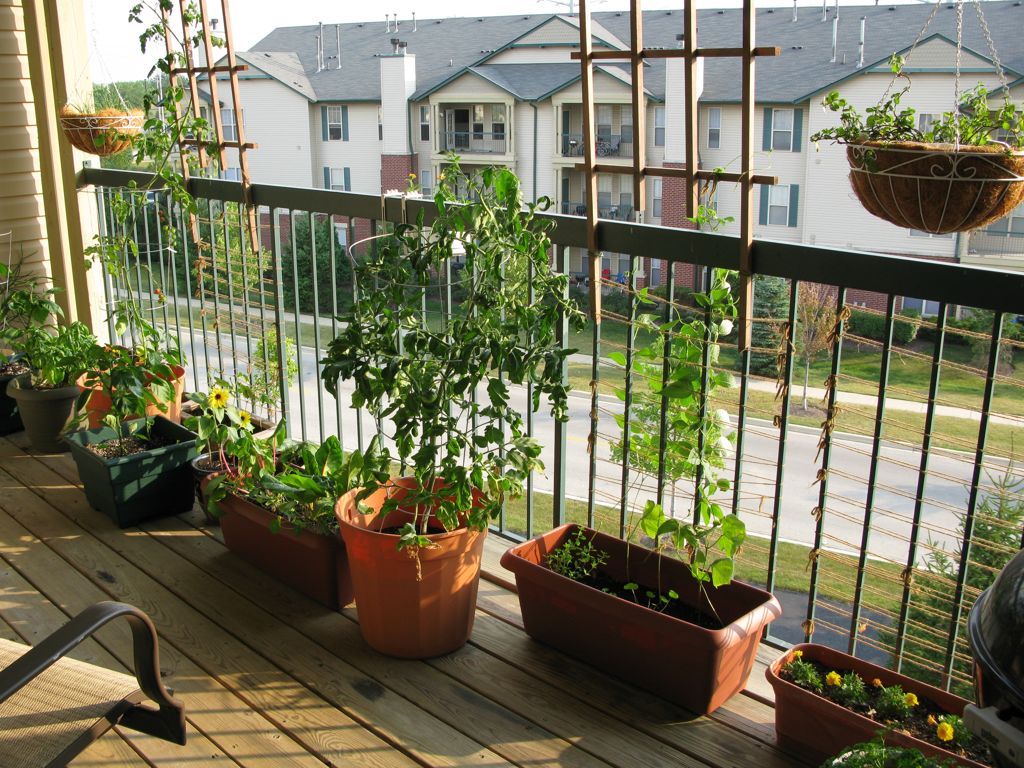 Potted plants give an urban balcony a charming green vibrancy