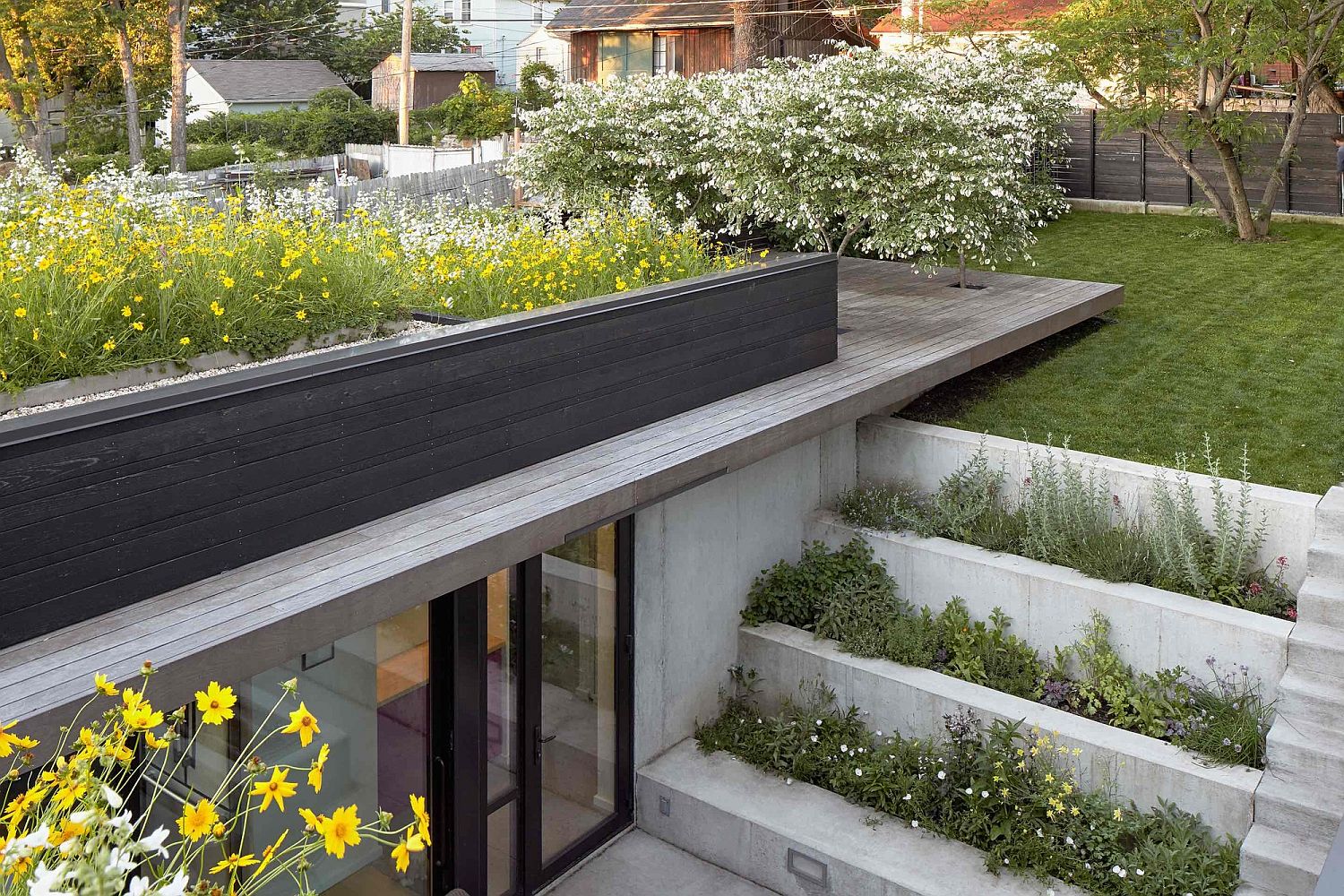 Stunning rooftop garden helps regulate temperature as well