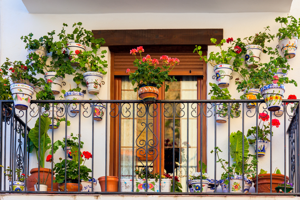 Urban balcony garden with blooming florals