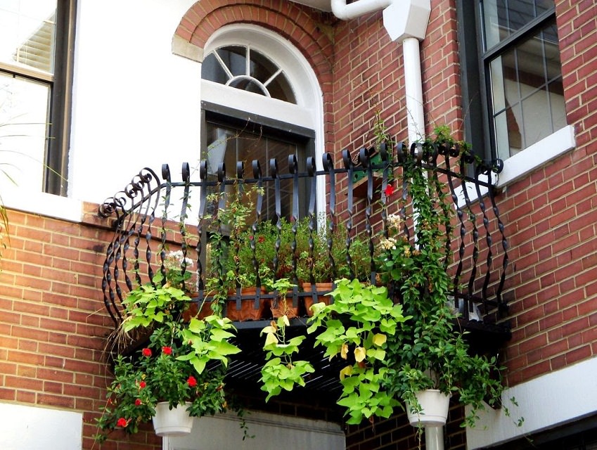 Urban balcony with a green garden that extends beyond the railing