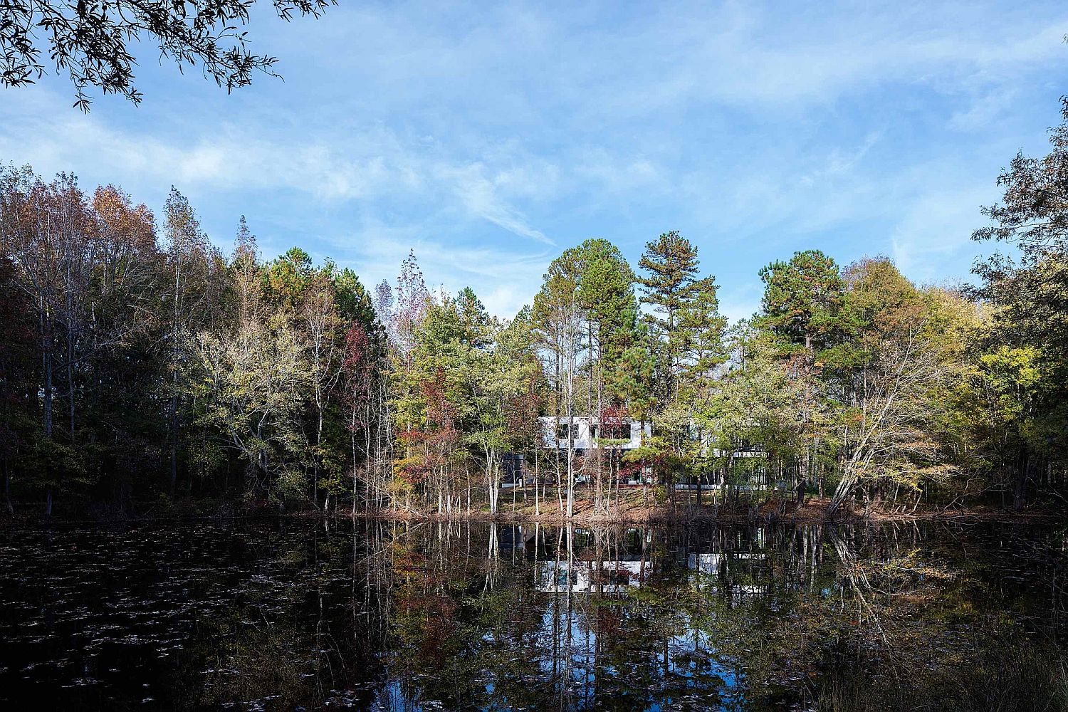 View of the Taylor Residence from the natural pond on its lot