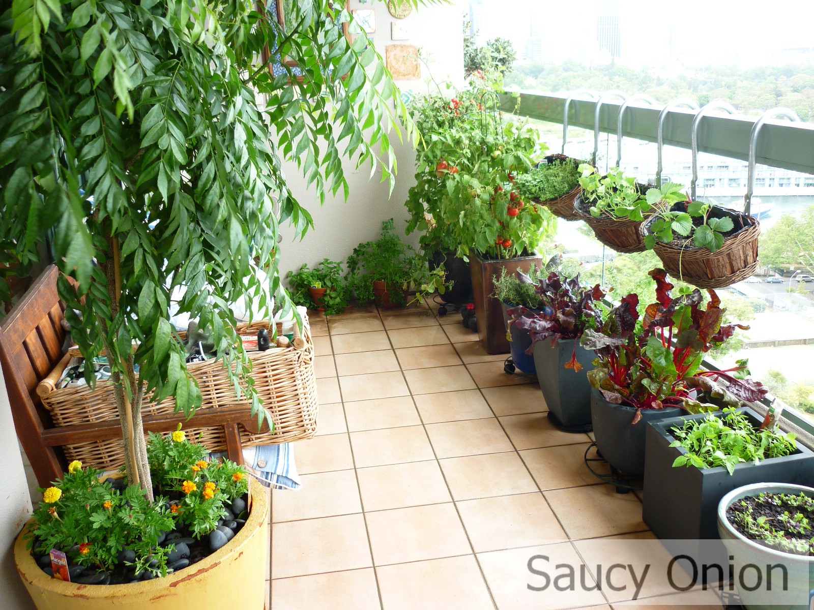 Vividly green urban balcony decorated with many plants