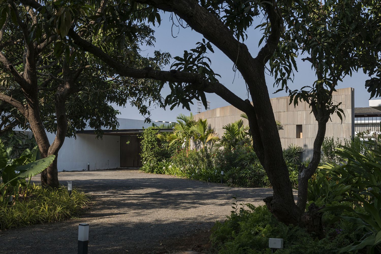 Wall of green at the front of the house with a curved entry