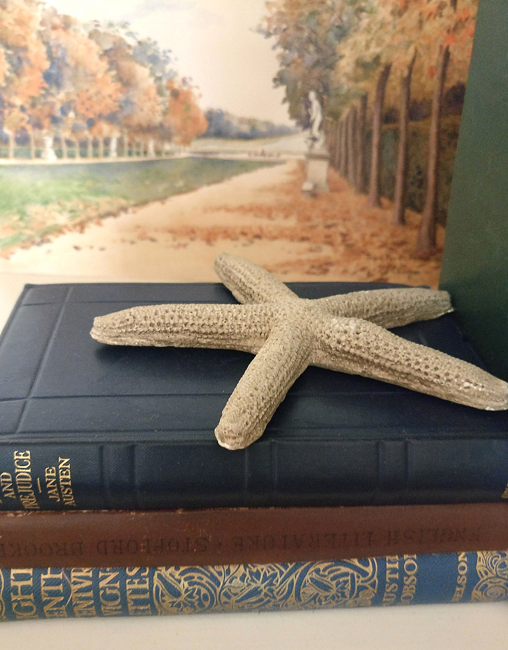 Concrete starfish on a stack of books