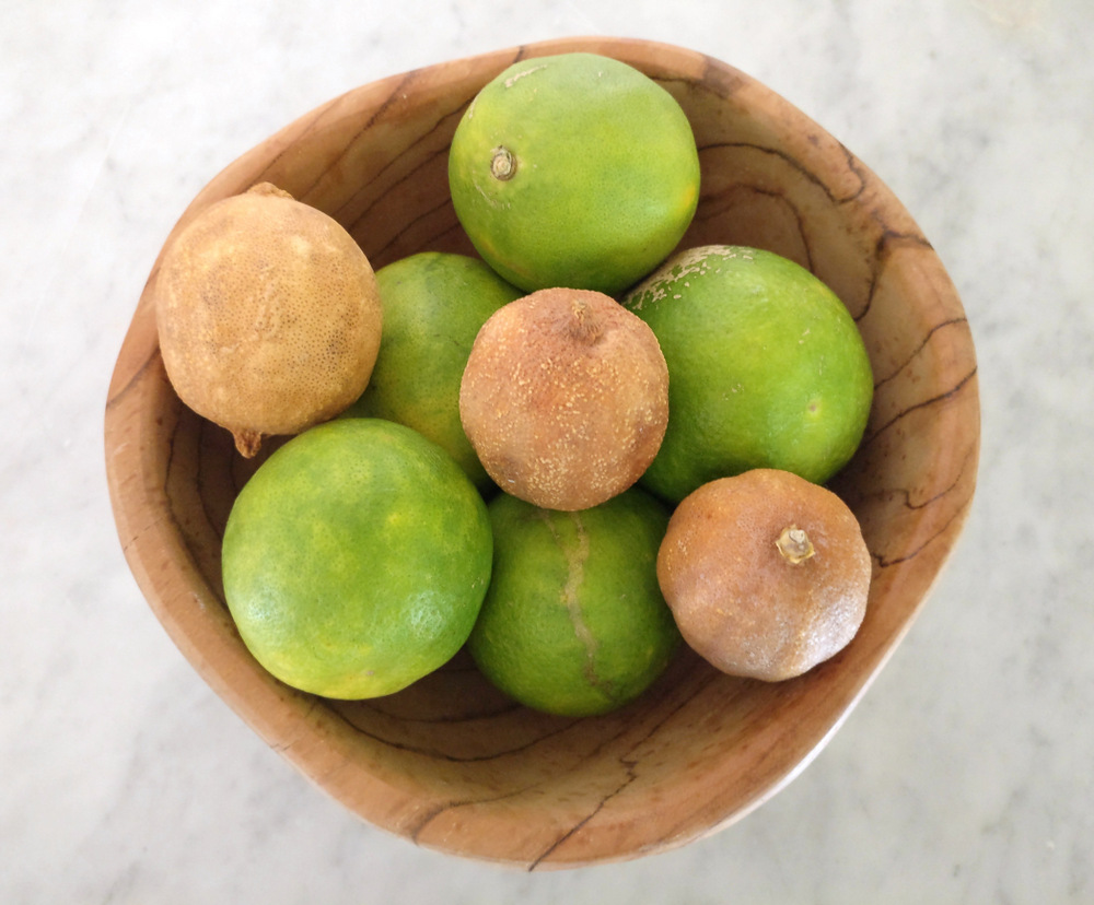 Dried-lemons-and-fresh-limes