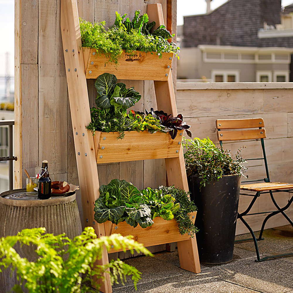 Farmer D 3-Tier Vertical Wall Garden from Williams Sonoma