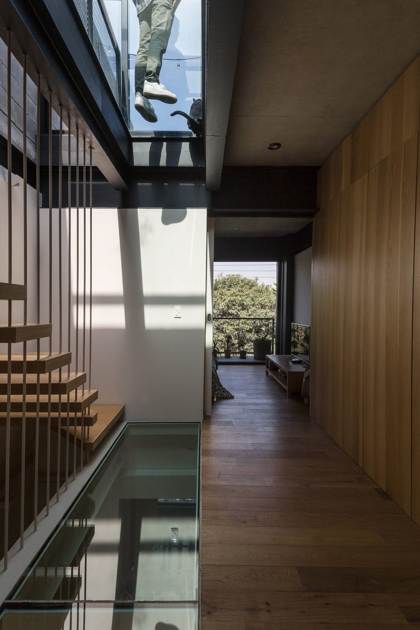 Glass walkways and ceiling bring light into the modern home