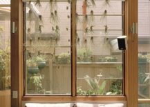 Ingenious-use-of-indoor-plants-and-air-plnts-gives-the-home-a-cloak-of-green-217x155