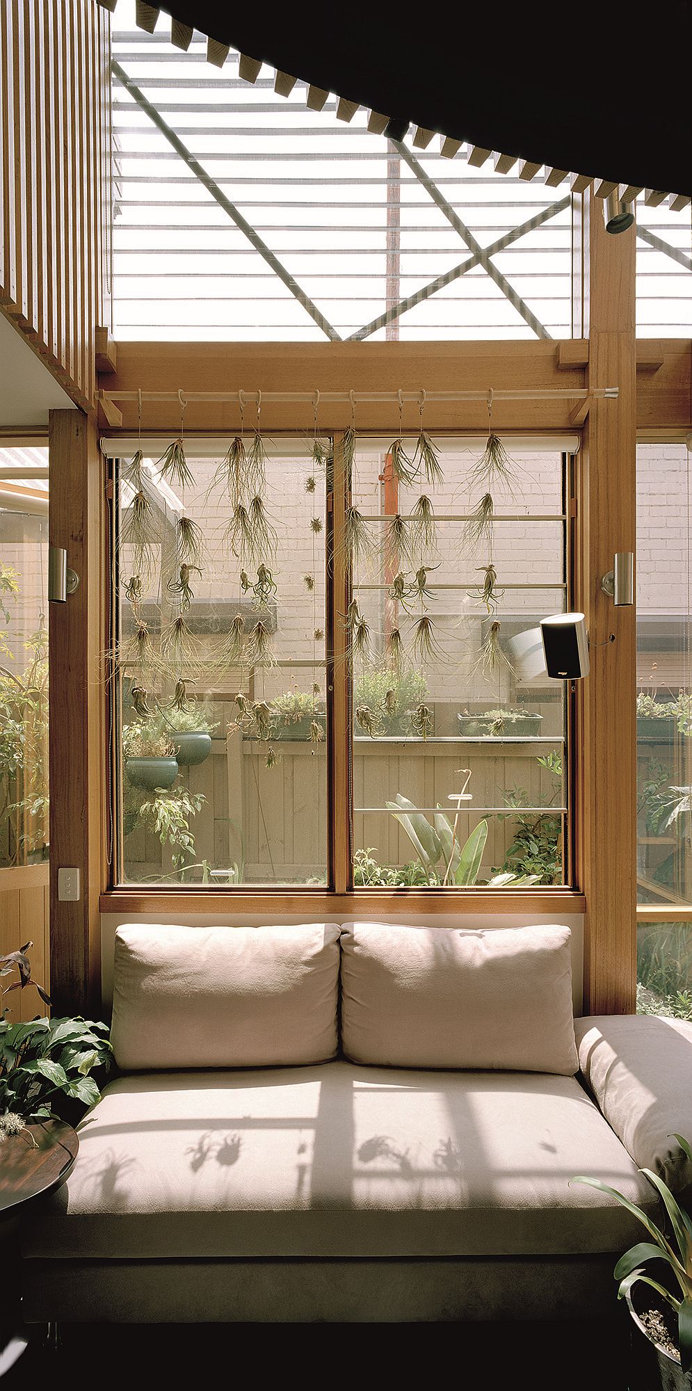 Ingenious use of indoor plants and air plants gives the home a cloak of green