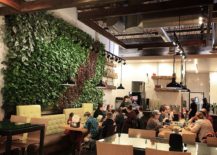 LiveWall-Indoor-Living-Wall-217x155