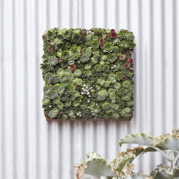 Vertical Goodness 10 DIY Living Walls Kits for Green Living Decoist