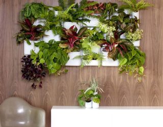 Vertical Goodness: 10 DIY Living Walls Kits for Green Living