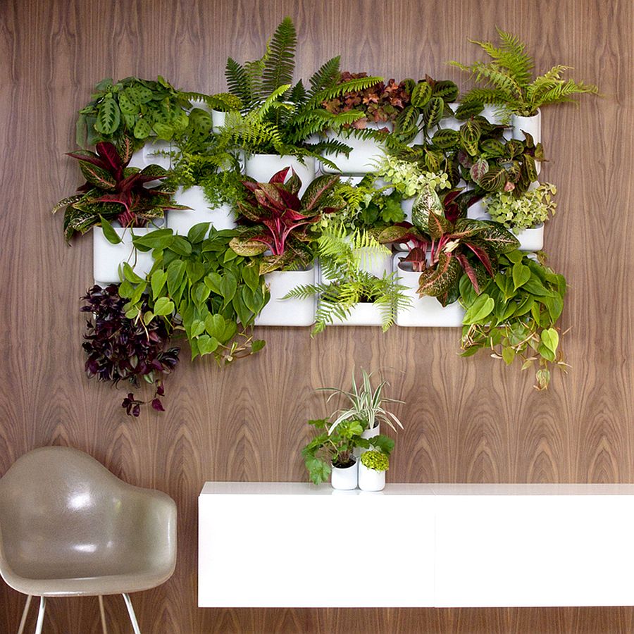 Modular And Stylish Urbio Living Wall Kit 