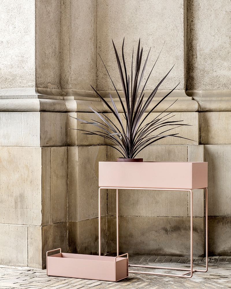 Rose plant box from ferm LIVING