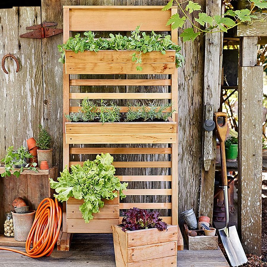 Modern Diy Living Wall for Modern Garage