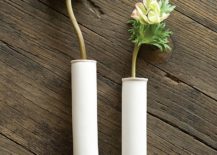 Wallmount-test-tube-vase-is-perfect-for-the-snazzy-indoor-living-wall-217x155
