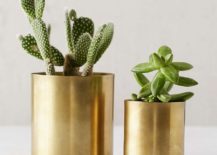 DIY-Modern-metallic-brass-planter-217x155