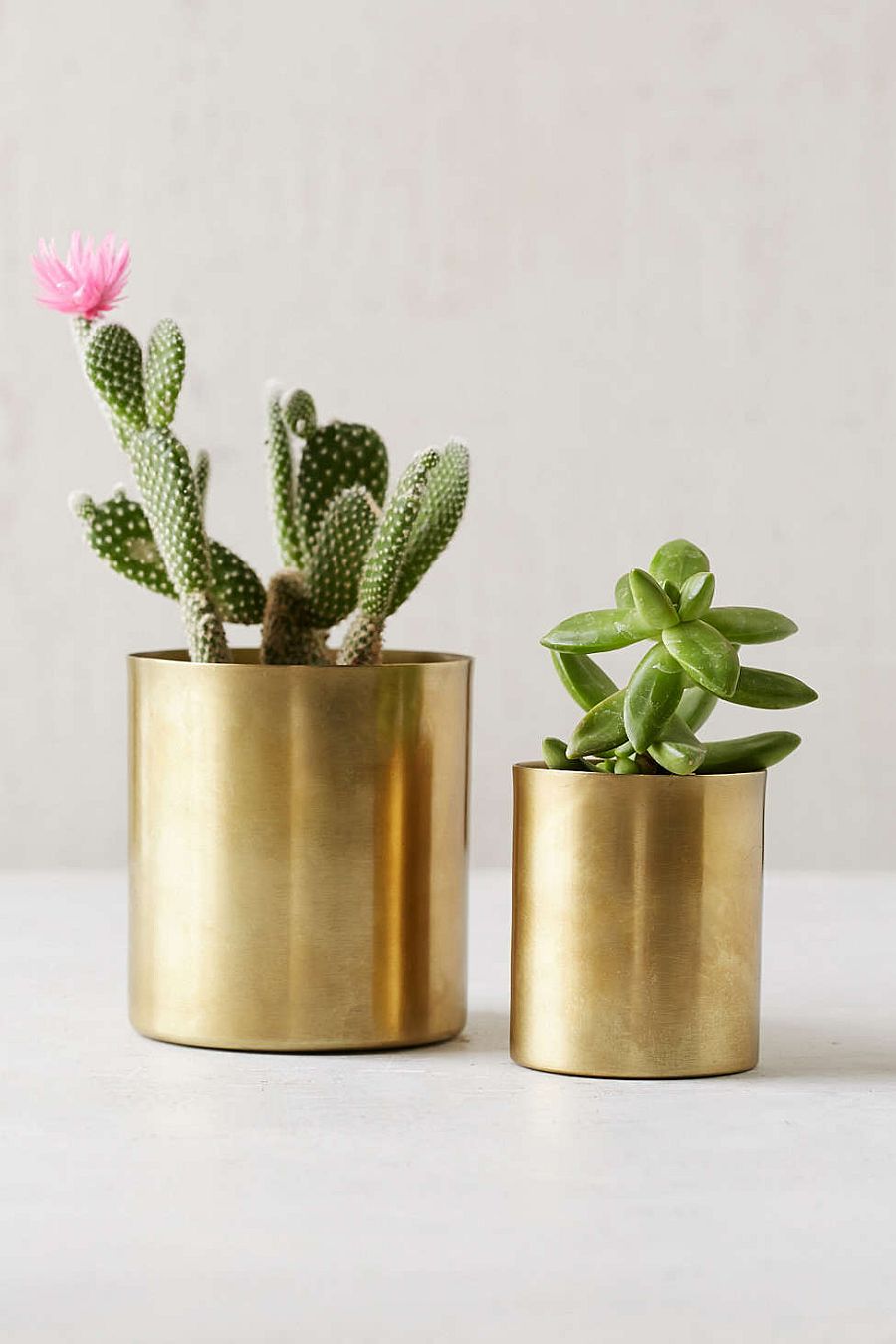 DIY-Modern-metallic-brass-planter