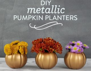 10 DIY Planters that Usher in Metallic Dazzle Along with Greenery!