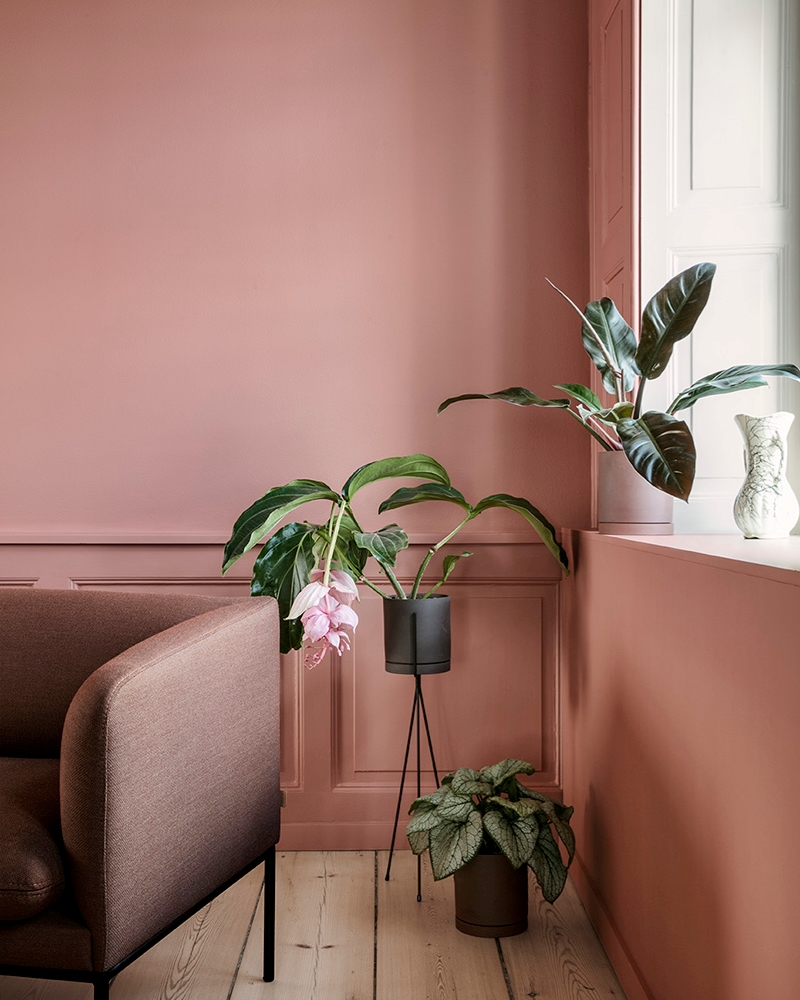 Dusty rose room by ferm LIVING