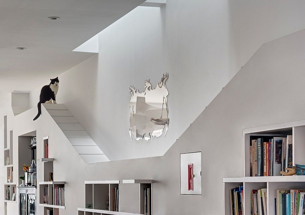 Extended-space-above-the-bookshelf-turned-into-cat-circulation