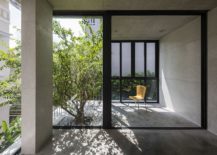 Framed-glass-walls-and-doors-bring-in-natural-light-217x155
