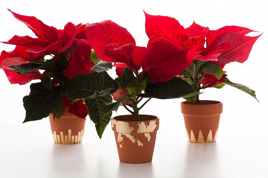 Gorgeous DIY Gold Leaf Pots are simple and easy to craft