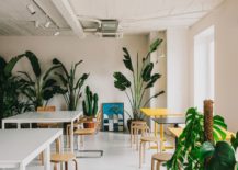 Indoor-plants-bring-greenery-to-the-contemporary-office-1-217x155
