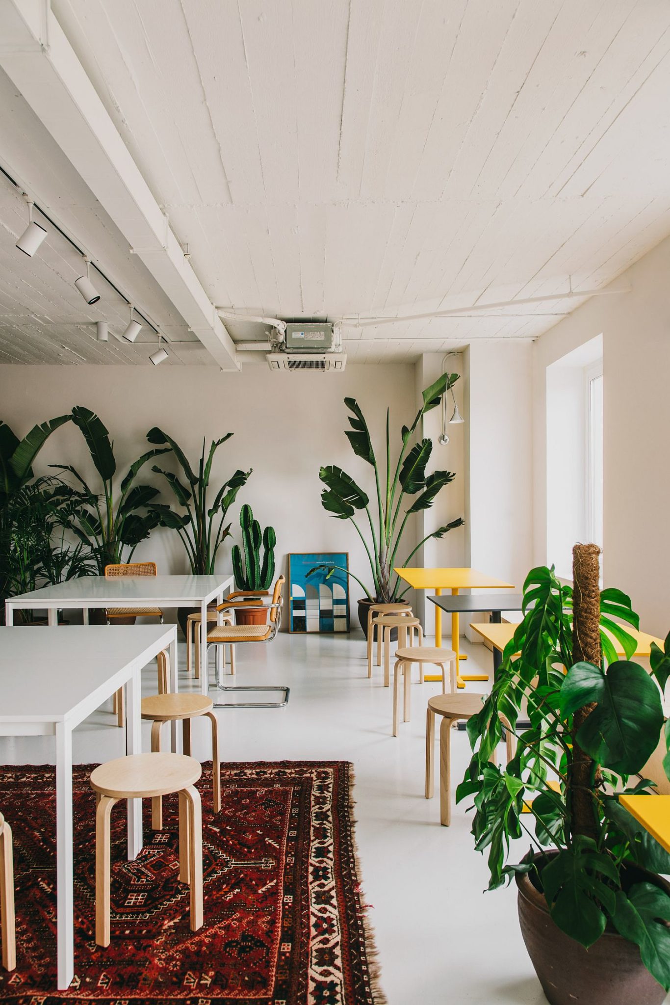 Indoor plants bring greenery to the contemporary office