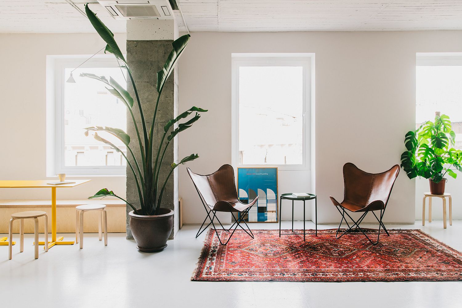 Light-filled and white office combines private and social zones