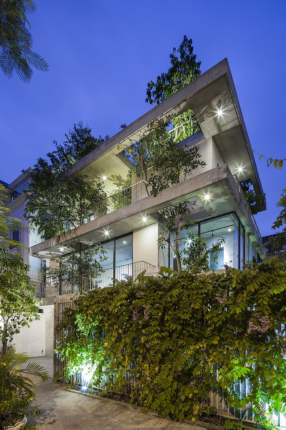 Lighting adds to the aura of the green house