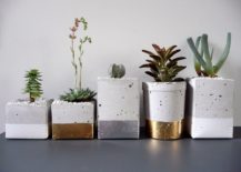 Modern-concrete-DIY-planters-with-a-touch-of-gold-217x155